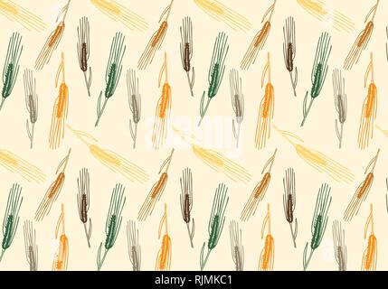 Vector pattern illustration hand drawn spring wheat in orange,green, brown and gray colors palette. Malt beer background. Autumn harvest. Stock Vector