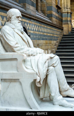 United Kingdom Great Britain England London Kensington Natural History Museum Central Hintze Hall statue Charles Darwin by Sir Joseph Boehm sta Stock Photo