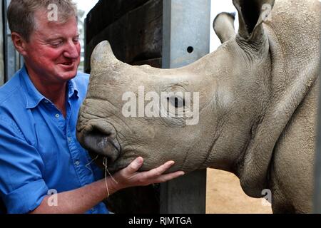 Reggie Heyworth, managing director of the Cotswold Wildlife Park with Tinkerbell, the young Rhino', a favourite of his in the park at Burford, Oxfordh Stock Photo