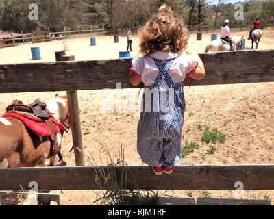 Child girl kid wanting to go horseback riding on fence Stock Photo