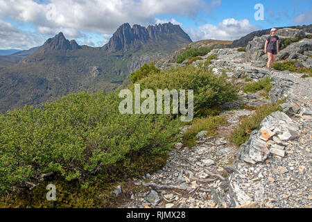 Hiker at Marions Lookout with Cradle Mountain behind Stock Photo