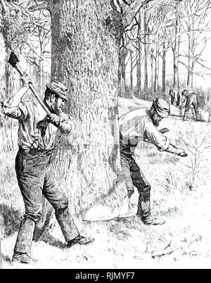 An engraving depicting oak trees being felled for the bark harvest. Dated 19th century Stock Photo