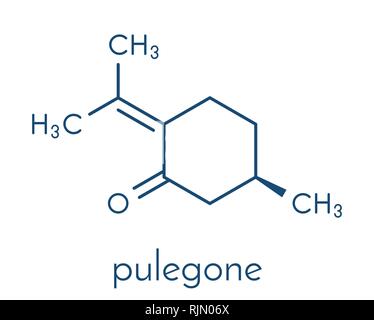 Pulegone molecule. Skeletal formula. Stock Vector