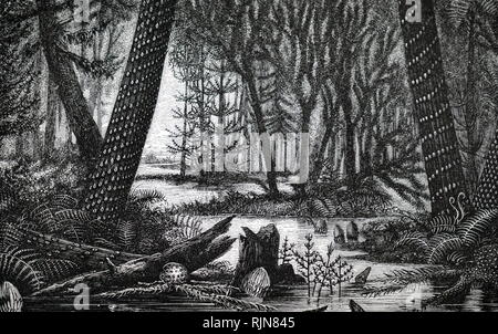 An engraving depicting the reconstruction of a Carboniferous forest ...