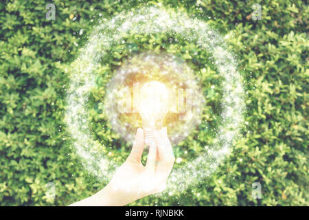 Hand holding the light bulb against the green leave wall wiht fake sunlight on wire globe frame in ecology environment saving concept for sustainable, Stock Photo