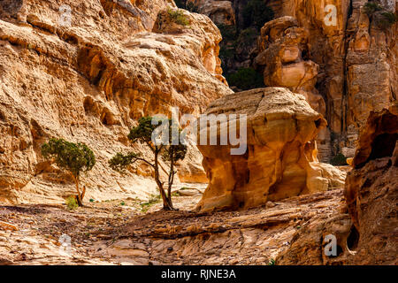 Amazing view of a beautiful canyon in Petra with rocky formations. Stock Photo