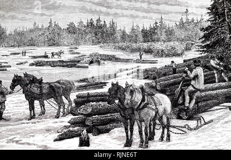 An engraving depicting Canadian loggers forming timber into rafts ready to be floated down river. Stock Photo