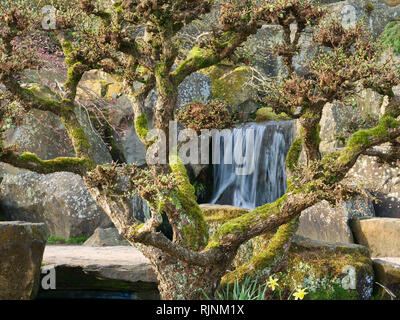 Waterfalls in a small stream in the garden make the water come tumbling down with a pleasant natural sound, over the edges in deep small pools. Stock Photo