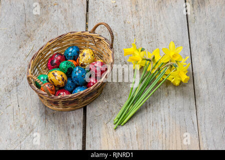 Colorful quail eggs for Easter, in a wicker basket and bouquet of daffodils. Stock Photo