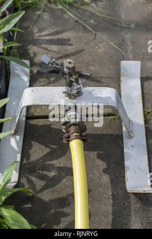Sprinkler gun in a garden, spring, Pas de Calais, France Stock Photo