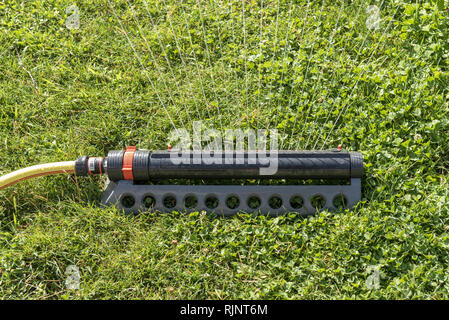 Sprinkler swinging on a lawn, summer, Moselle, France Stock Photo