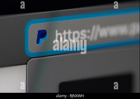 New york, USA - february 6, 2019: Paypal icon on official web page on device screen pixelated close up view Stock Photo