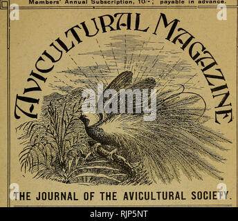 . The Avicultural magazine. Birds; Cage birds. NEW SERIES. Vol. Vi. No. 5. MONTHLY. Price i^- 6«*- MARCH, 1908, Members' Annual Subscription, 10/-| payable in advance. P. .-OCONTENTS.Oj PAGE The Egyptian Plover (ivifk plate), by Captain Stanlky S. Flower .. 139 Notes oil My Birds {continued), by Kosie Aldbrson 144 The Tropical Seed-Finch i49 Red-breasted Starlings, etc., by Dr. A. G. Buti.er ... 151 Notices of New Books, etc. : British Birds i55 January Meeting- of the Council 156 Correspondence: Wood-pigeon Diphtheria, 157; The Recent Crystal Show, 158; The Hedgs-Accentor, 158; Breeding Briti Stock Photo