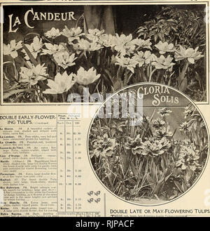 . Autumn catalogue : 1904. Gardening Equipment and supplies Catalogs; Seeds Catalogs; Bulbs (Plants) Catalogs; Flowers Seeds Catalogs; Vegetables Seeds Catalogs. •PETER HENDERSON fie CO., NEW YORK- Q 15. Le Blason. ^9. A beautiful variety of delicate rose, shaded and striped with white, extra fine La Candeur. B8. Pure white, very full and large, extensively grown for bedding La Citadelle. S9. Purplish-red, bordered yellow, fine and large Leonardo-da-Vinci. .49. An extra fine, large Tulip, orange-scarlet, edged with yellow. very brilliant Lion d'Orange. .48. Brilliant orange dwarf, extra choice Stock Photo