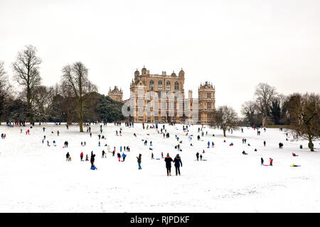 People Sledging in front of Wollaton Hall Museum Wollaton Park Nottingham Nottinghamshire England UK GB EU Stock Photo