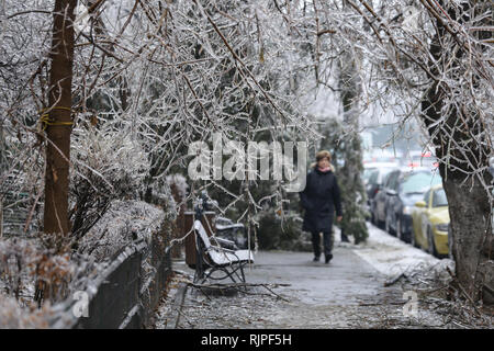 Details with frozen vegetation after a freezing rain weather phenomenon Stock Photo