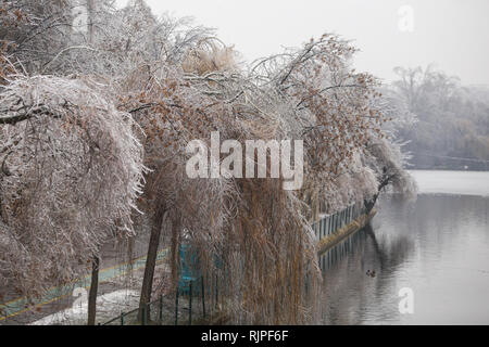 Frozen park during winter after a freezing rain weather phenomenon Stock Photo