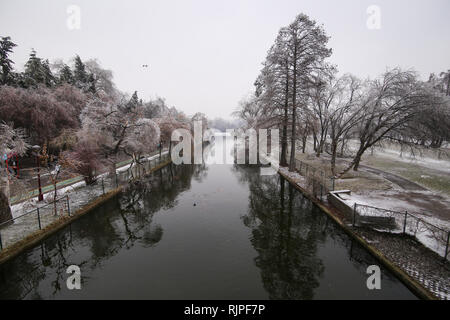 Frozen park during winter after a freezing rain weather phenomenon Stock Photo