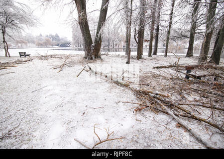 Frozen park during winter after a freezing rain weather phenomenon Stock Photo