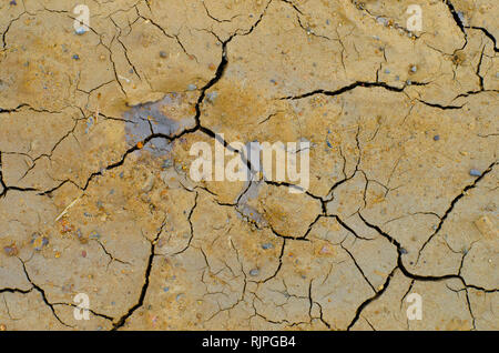 Cracks and fissures in the dry earth create beautiful, richly textured images. Stock Photo
