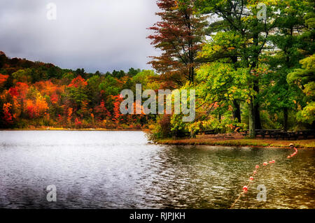 The green and changing colors trees reflecting off of the waters in Burr State Park in Torrington, Connecticut on a sunny fall day. Stock Photo