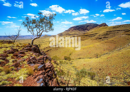 hiking on mount bruce in the desert of karijini national park, western australia Stock Photo