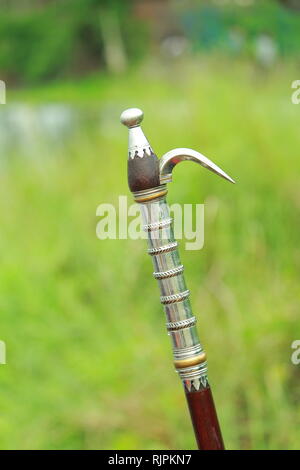 kerala elephants Stock Photo