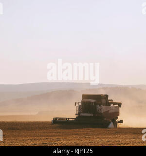 Combine harvester harvesting dusty wheat field Stock Photo