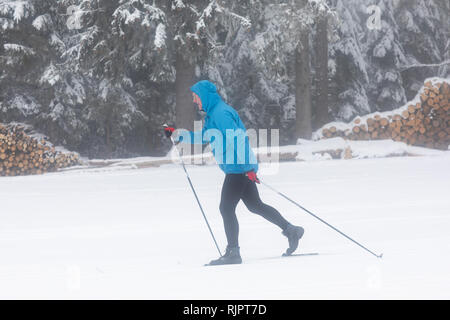 Mature man cross country skiing in forest, full length Stock Photo