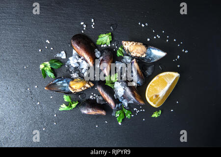 Fresh Mussels seafood isolated on dark vintage background with ice and herbs from top view Stock Photo