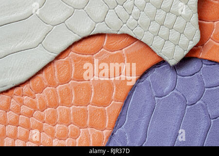 Colorful samples of genuine leather , embossed under the skin reptile, different colors. Texture pattern Stock Photo