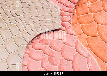 Genuine leather, colorful samples in a different colors, embossed under the skin reptile. Texture pattern for background Stock Photo