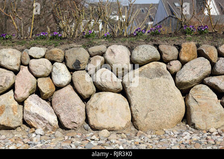 Frisian stone wall with pansies Stock Photo