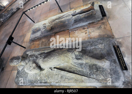 Geoffrey de Mandeville, 1st Earl of Essex, effigy and unknown knight effigy in Romanesque Temple Church built 1185 by Knight Templars known from Dan B Stock Photo