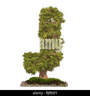 Tree letter J. Tree in shaped of letter J, 3D rendering isolated on white background Stock Photo