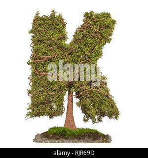 Tree letter K. Tree in shaped of letter K, 3D rendering isolated on white background Stock Photo