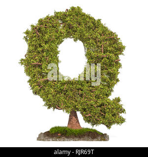 Tree letter Q. Tree in shaped of letter Q, 3D rendering isolated on white background Stock Photo