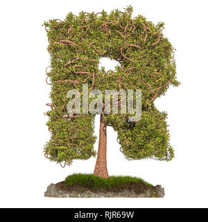 Tree letter R. Tree in shaped of letter R, 3D rendering isolated on white background Stock Photo