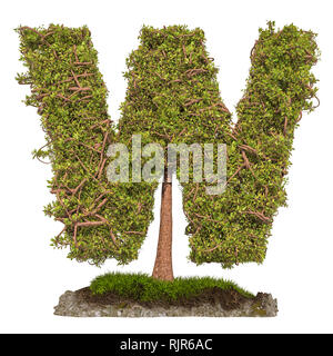 Tree letter W. Tree in shaped of letter W, 3D rendering isolated on white background Stock Photo