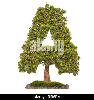 Tree letter A. Tree in shaped of letter A, 3D rendering isolated on white background Stock Photo