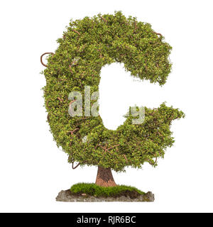 Tree letter N. Tree in shaped of letter N, 3D rendering isolated on white  background Stock Photo - Alamy