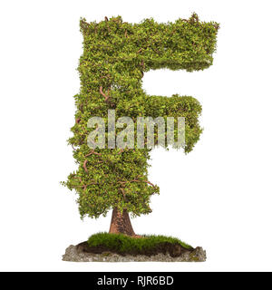 Tree letter F. Tree in shaped of letter F, 3D rendering isolated on white background Stock Photo