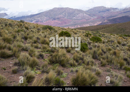 Serranía de Hornocal Stock Photo