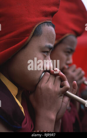 Buddhist monk blowing musical instruments Tibetan horn, Hemis Festival ...