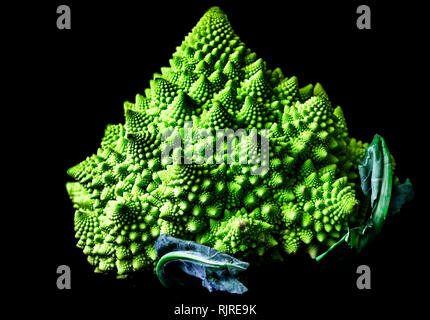 Roman broccoli isolated on black background Stock Photo