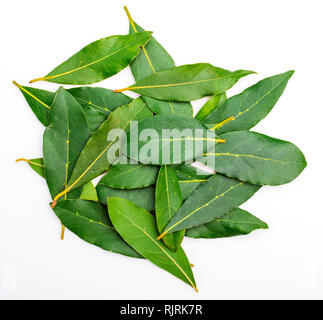 Fresh and dry bay leaves. With balls of black pepper. Isolated on white background. Stock Photo