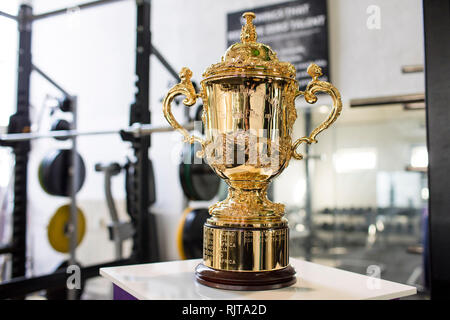 04 February 2019, Baden-Wuerttemberg, Heidelberg: Training of the German Rugby National Team. The Webb Ellis Cup in the gym of the national team and the Heidelberg RK. Photo: Jürgen Kessler/dpa Stock Photo