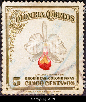 Beautiful colombian orchid on vintage stamp Stock Photo - Alamy