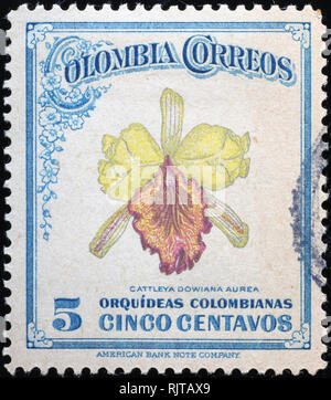Orchid on old postage stamp of Ceylon Stock Photo - Alamy