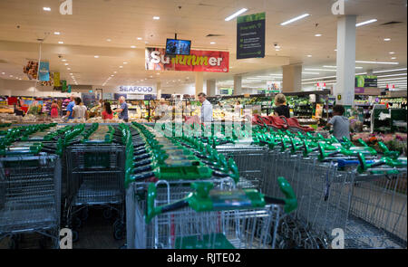 Interior of modern supermarket with rows of trolleys in foreground and shoppers meandering among groceries Stock Photo